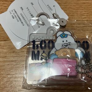 んぽちゃむ ドンキ アピタ ピアゴ 限定アクキーセット