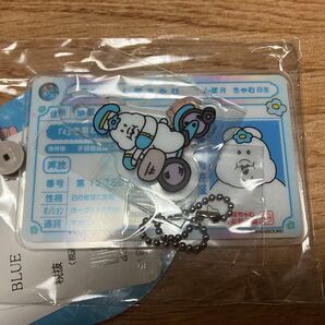 んぽちゃむ ドンキ アピタ ピアゴ 限定アクキーセット