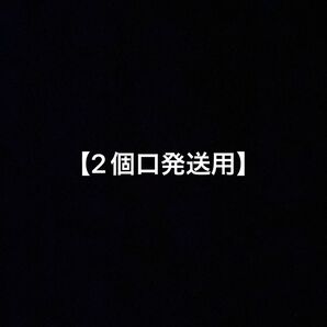 2個口発送用