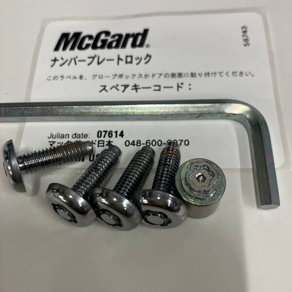 自動車用 ナンバープレートロックボルト 盗難防止 セキュリティ