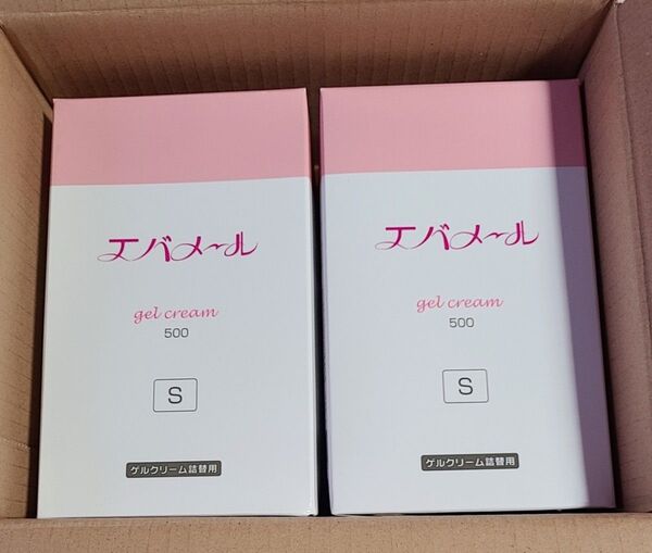 【2個セット】エバメール ゲルクリーム 詰替用 500g Sタイプ 敏感肌 低刺激 全身保湿 オールインワン EVER MERE