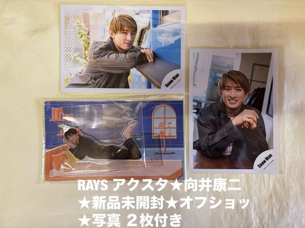 ★新品未開封★SnowMan 向井康二★アクリルスタンド★RAYS オフショッ★写真★アクスタ すのチル グッズ ライブ ドーム