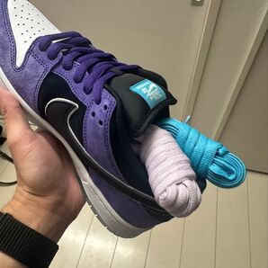 Hayley Wilson × Nike SB Dunk Low Pro "Black and Court Purple"