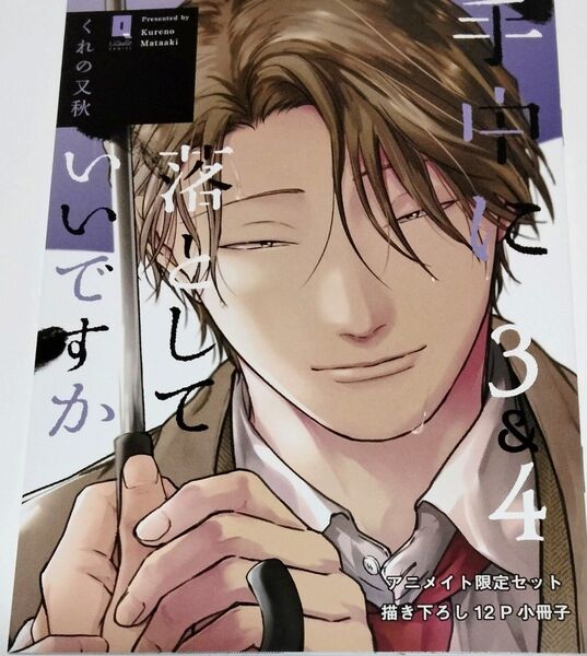 手中に落としていいですか 3&4 アニメイト特典 小冊子 くれの又秋