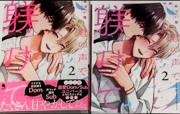 君の声で躾けて 2+アニメイト特典リーフレット みづい甘