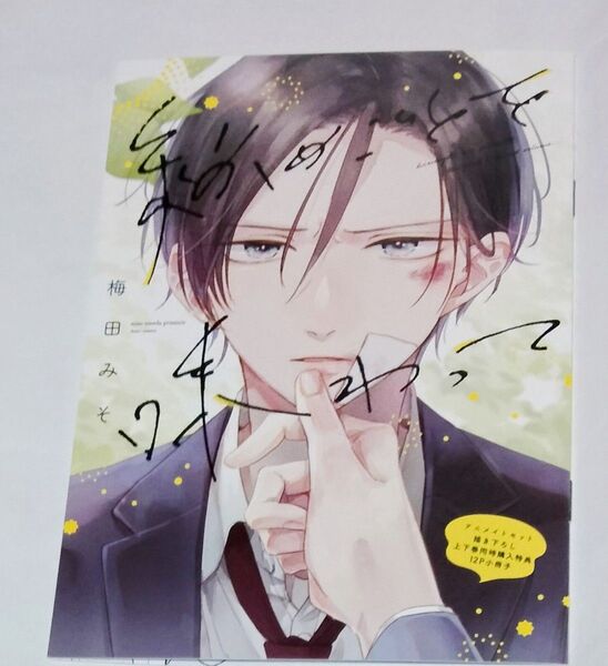 秘めごとを味わって アニメイト 上・下巻同時購入特典 小冊子 梅田みそ