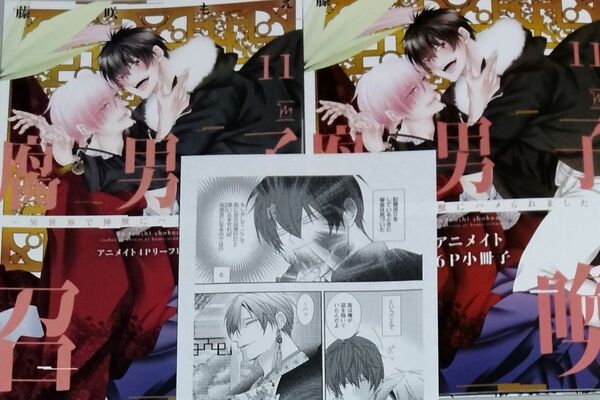 腐男子召喚 11 アニメイト特典 小冊子・リーフレット・出版社ペーパー 藤咲もえ