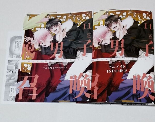 腐男子召喚 11巻 アニメイト特典 小冊子・リーフレット・共通ペーパー 藤咲もえ