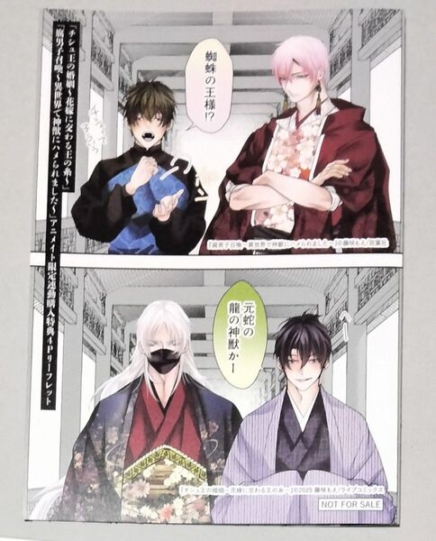 チシュ王の婚姻&腐男子召喚11 アニメイト連動購入特典リーフレット 藤咲もえ