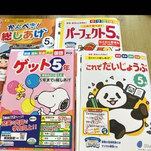 5年生 ドリル まとめ売り バラも可