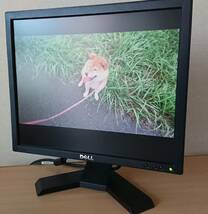 l【ジャンク】DELL 17インチ スクエア液晶モニター E170Sc_画像1