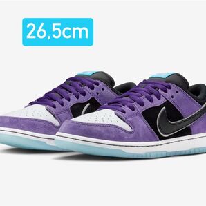 Hayley Wilson × Nike SB Dunk Low Pro "Black and Court Purple"