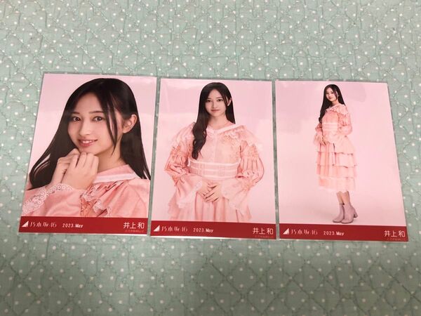 乃木坂46 生写真 コンプ 井上和 スペシャル衣装37