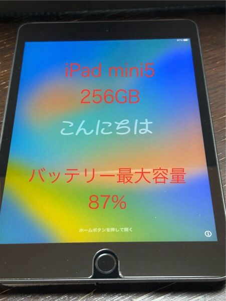 中古 iPad mini 第5世代 256GB スペースグレー Wi-Fi