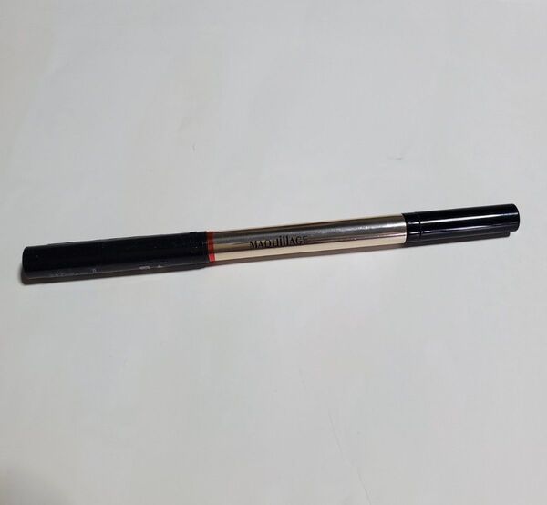資生堂 マキアージュ ラスティングフォギーブロウEX BR700 ホルダー付き