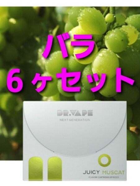 【未使用】公式 DR.VAPE ドクターベイプ ジューシーマスカット for Model2 バラ6ヶセット(3箱分)