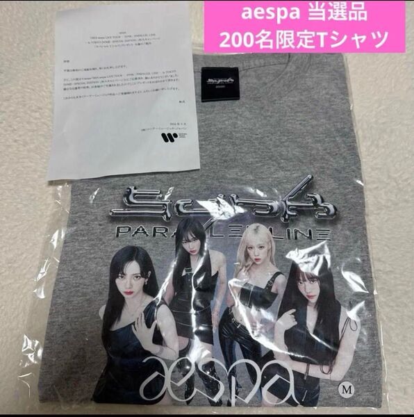 2024 aespa LIVE TOUR SYNK 東京ドーム Tシャツ Mサイズ グレー 限定 当選 ワーナー