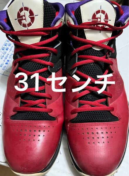 赤 ジョーダン フライ ウェイド JORDAN FLY WADE 429486-605
