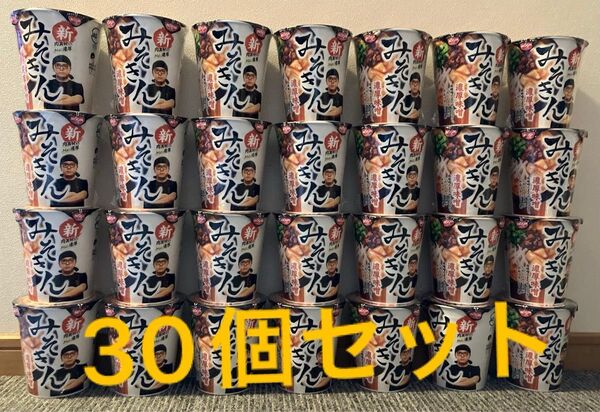 HIKAKINPREMIUM みそきん 濃厚味噌ラーメン 30個セット