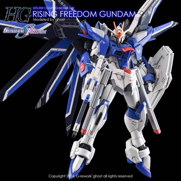 HG 1/144 ライジングフリーダムガンダム用水転写式デカール ガンダム ガンプラ プラモデル