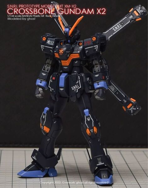 RG 1/144 クロスボーン・ガンダム X2用水転写式デカール 他社製 ガンダム ガンプラ プラモデル