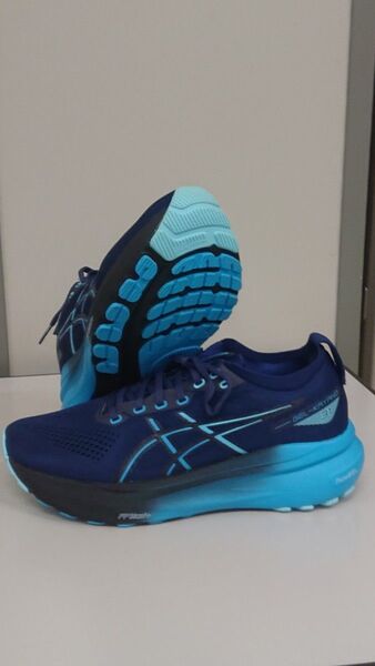 新品 未使用 アシックス ASICS ゲルカヤノ31 サイズ26.5cm 箱なし