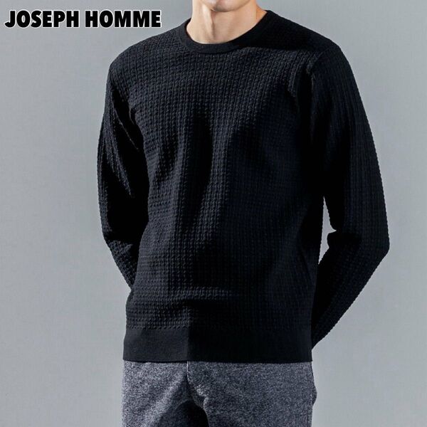 極美品 JOSEPH HOMME ヴィスコースリンクスジャガード 46