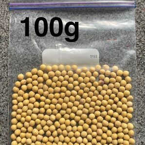 借金なし大豆 100g 種大豆 令和6年度産