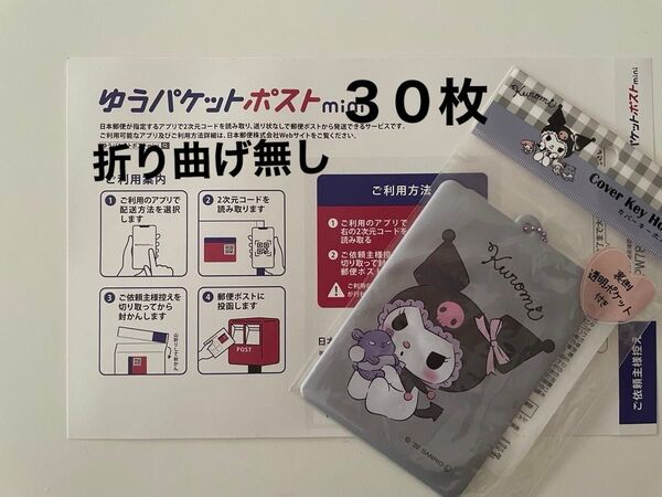 ゆうパケットポストmini30・クロミカバーキーホルダー