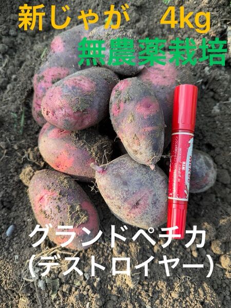 グランドペチカ(デストロイヤー)4kg