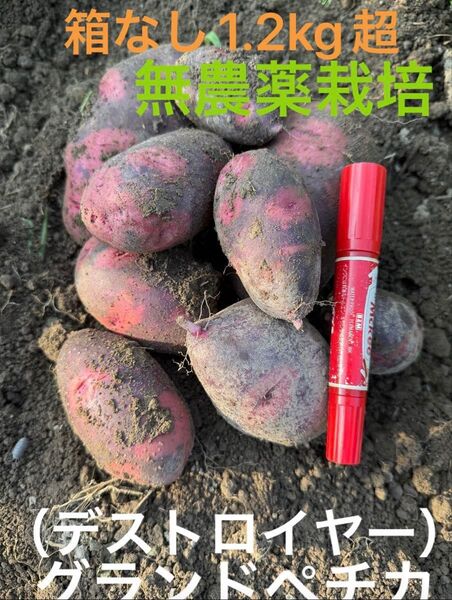 グランドペチカ(デストロイヤー)1.2kg