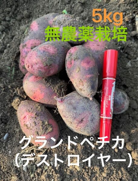 グランドペチカ(デストロイヤー)5kg
