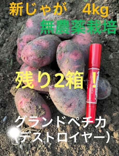 グランドペチカ(デストロイヤー)4kg