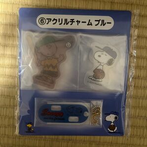 ⑥スヌーピー アクリルチャーム&キーホルダーセット