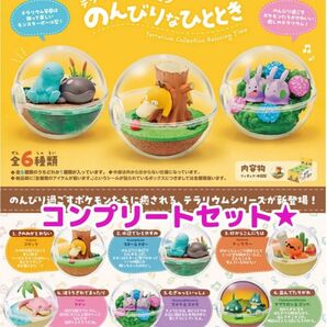 【新品・未開封】リーメント ポケットモンスター テラリウムコレクション のんびりなひととき★全6種コンプリートセット