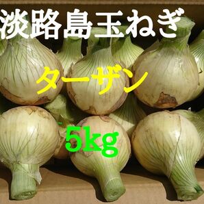 淡路島たまねぎ5kg農家直送南あわじ