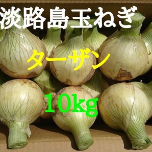 淡路島たまねぎ10kg農家直送南あわじ