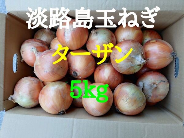 淡路島玉ねぎ5kg農家直送南あわじ