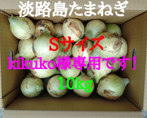 淡路島たまねぎSサイズ10kg農家直送南あわじ