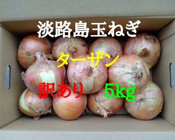 淡路島たまねぎ訳あり5kg農家直送南あわじ