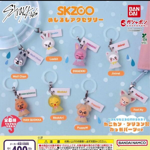 スキズー めじるしアクセサリー めじるし スキズー SKZOO コンプリート