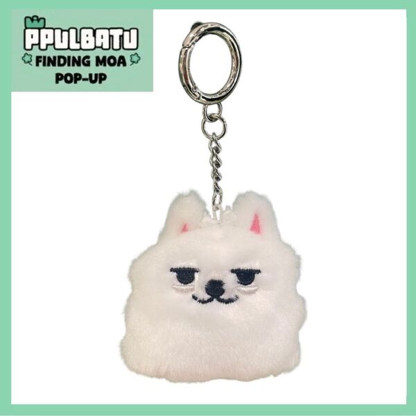 TXT トゥバ プルバトゥ POPUP フェイス キーリング スビン チェ・ヨンモン 韓国 キーホルダー