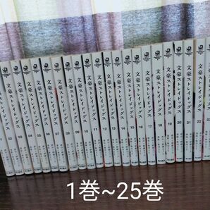 文豪ストレイドッグス 1巻~25巻 全巻