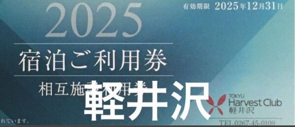 2025 軽井沢 東急ハーヴェストクラブ 相互施設利用券
