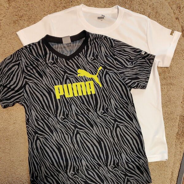 ☆PUMAポリエステルTシャツ2点セット 160センチ☆ 半袖Tシャツ Tシャツ m