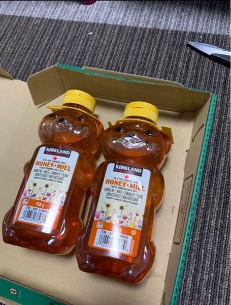 カークランドシグネチャー はちみつ ベアージャグ 750g x 2本