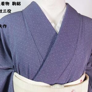 美品 夏着物 江戸小紋 変わり鮫文様 藤崎邦夫作 駒絽 正絹 灰色帯びた紫色