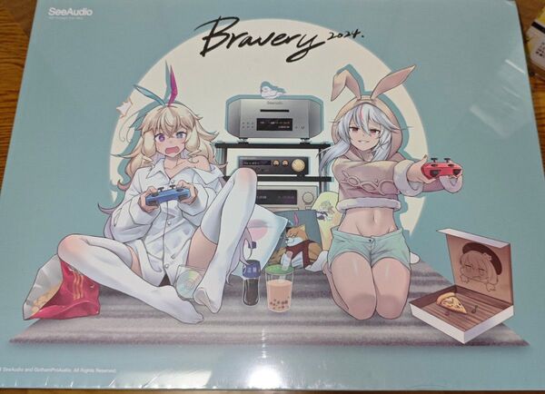 SeeAudio Bravery 24