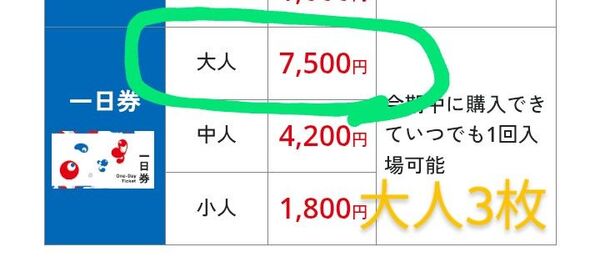 大阪万博 入場券 大阪 一日券 チケット 3枚 万博