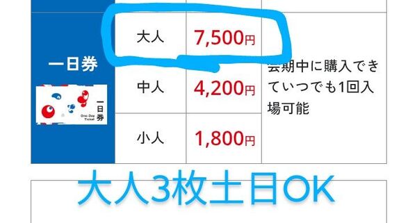 大阪万博 入場券 大阪 一日券 チケット 大人3枚 万博